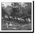 thumbnail image 2 of Historic Framed Print, [Theodore Roosevelt, 1858-1919; lantern slide of Roosevelt's Brazil expedition, 1913, taken by his son Kermit] - 2, 17-7/8" x 21-7/8", 2 of 9