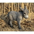 thumbnail image 4 of 13" Standing Donkey Looking Right Outdoor Garden Statue, 4 of 6