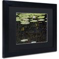 thumbnail image 2 of Trademark Fine Art "Marsh Reflections" Canvas Art by Kurt Shaffer, Black Matte, Black Frame, 2 of 4