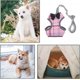 thumbnail image 5 of Cat Harness and Leash for Walking Escape Proof with Bell and Bow-Knot Decoration,Adjustable Soft Kittens Vest for Cats ,S, 5 of 5
