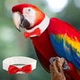 thumbnail image 3 of Corbata para pájaros para mascotas, ropa para pájaros, loro, pajarita para loro, muy recomendable, 3 of 8