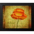 thumbnail image 2 of Geyman, Vitaly 24x20 Black Modern Framed Museum Art Print Titled - Dancing Poppy Radiance, 2 of 5