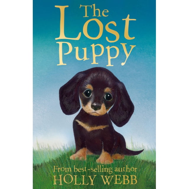 Le Chiot Perdu (Histoires d'Animaux Holly Webb)