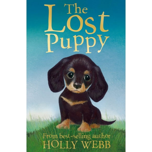 The Lost Puppy (Holly Webb Animal Stories)