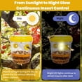 thumbnail image 4 of Upgraded Wasp Trap Outdoor Hanging, Reusable Yellow Jacket Trap with Bait Reservoir, Carpenter Bee and Hornet Catcher, Hanging Wasp Catcher for Outdoor Use, 4 of 7