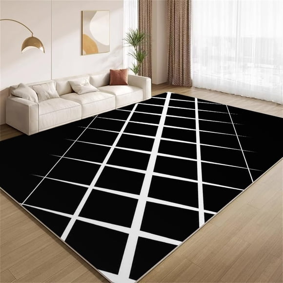 Minimalist Modern Art Area Rugs Black and White Geometry Rugs Non Slip Non Shedding Print Washable Floor Carpet for Living Room Bedroom Office Study Foyer Hallway 5ftx6ft