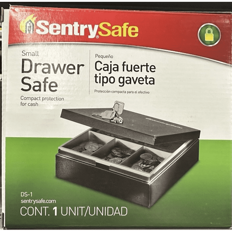 SentrySafe DS-1 Portable Security Safe with Key Lock, 0.04 cu. ft