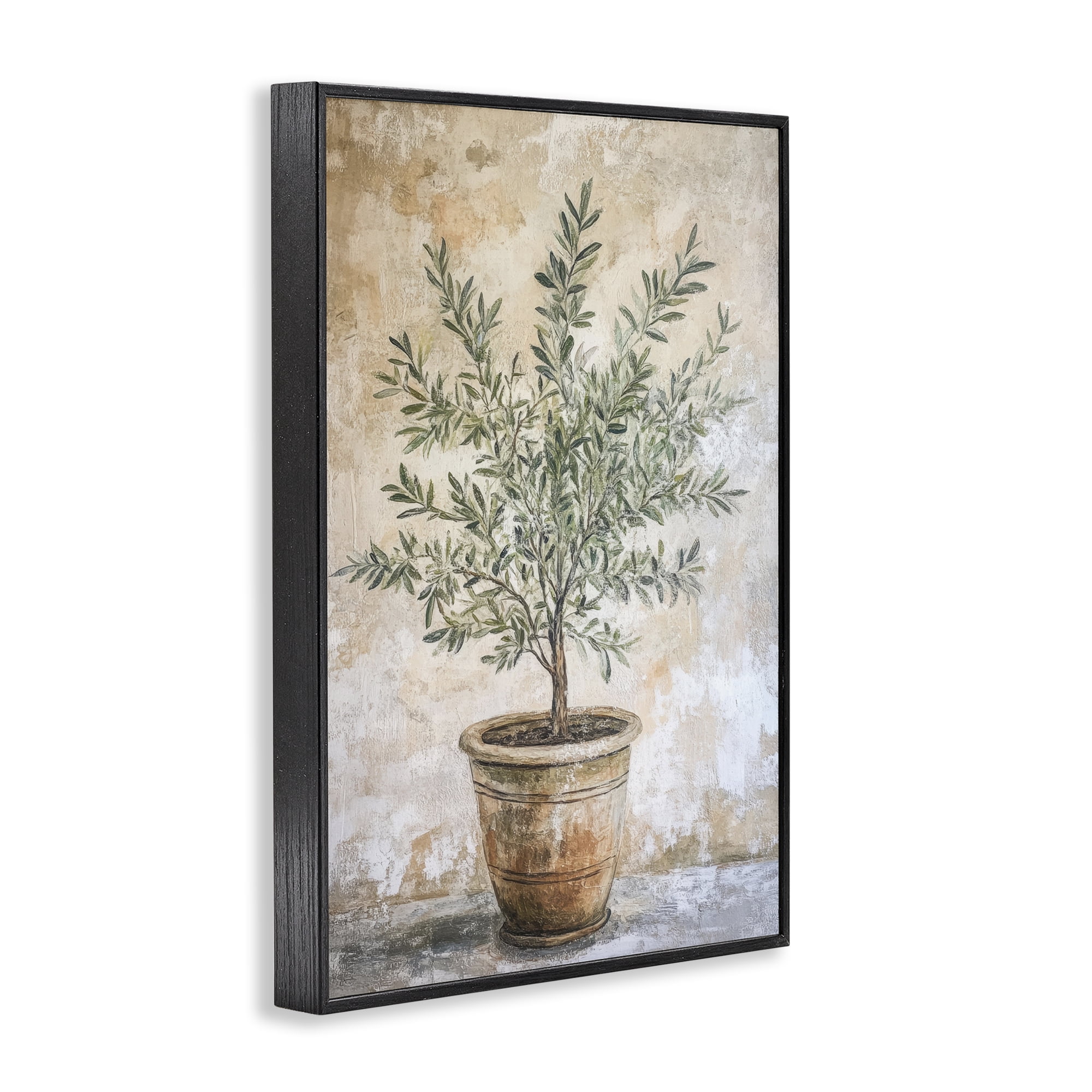 Stupell Industries Mediterranean Potted Olive Black Framed Giclee Art, design by Petal Prints Design