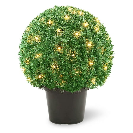 Pre-Lit 22" Artificial Mini Boxwood Ball