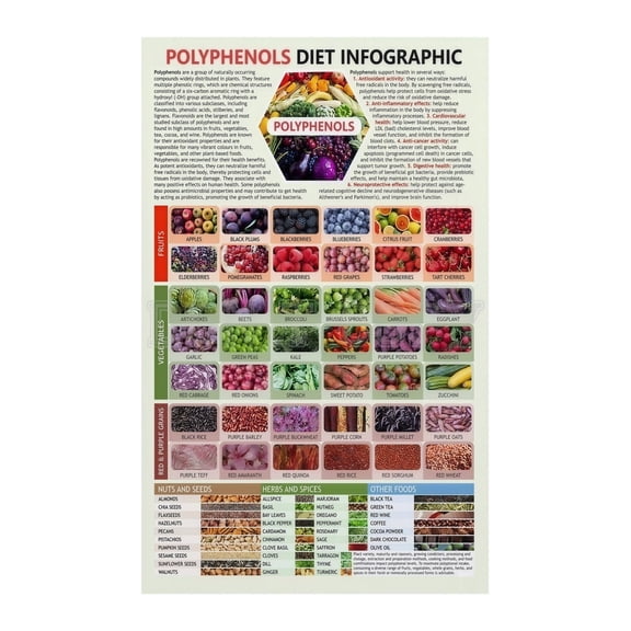 Antioxidant Rich Foods Chart Polyphenol Food List Poster Healthy Eating Nutrition Guide for Heart Brain Health Kitchen Office Decor