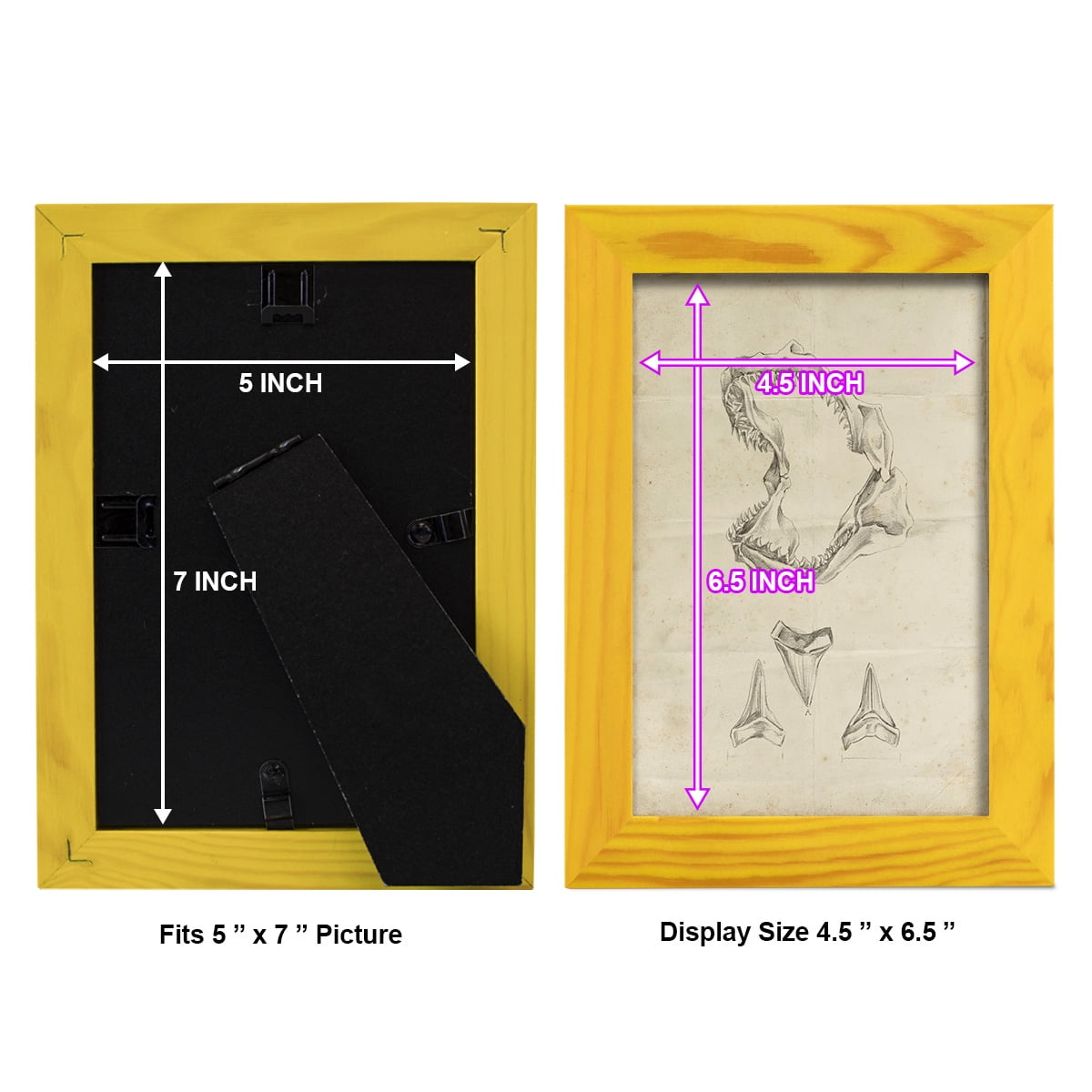 Shark Study II - Framed Print w/glass - Sunflower Yellow