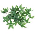thumbnail image 1 of Moluckfu 120Ud Sepals Artificiales Para Suministros DIY En Y Manualidades, 1 of 6