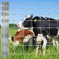 thumbnail image 1 of Memoryfield 4ft x 328ft Galvanized Livestock Fence, Wire Cattle Farm Fence for Cattle, Goat Yard, 1 of 8