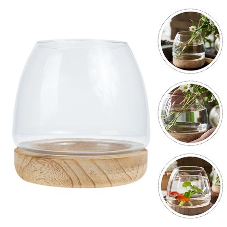 NIAIZEK 1 Set of Small Glass Aquarium Desktop Transparent for Fish Owners Indoor Use