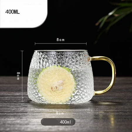

Homeex Cold Water Capacity Borosilicate Heat Resistant Glass Thickened Fruit Juice Bottle Set B 1PC 400ml