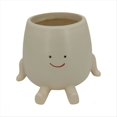 thumbnail image 1 of Maceta con Cara Sonriente, Maceta Divertida para Plantas de Interior y Exterior, Macetas con Cabeza , Maceta Decorativa con Cara Única A, 1 of 5