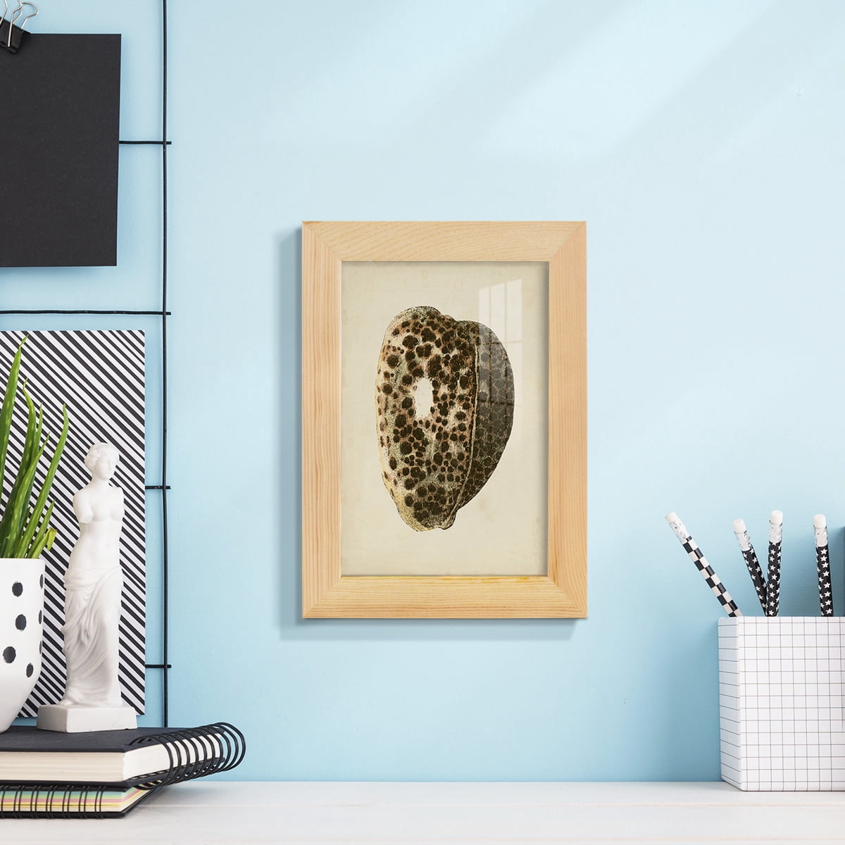 Sealife Collection III - Framed Print w/glass - Natural Wood