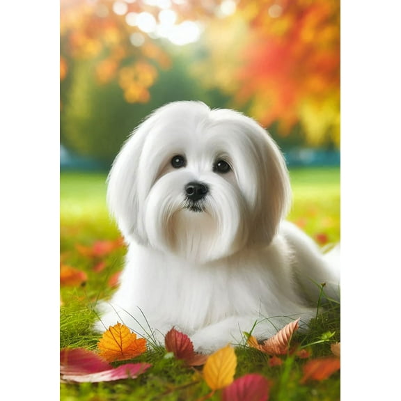 Lhasa Apso White -  Best of Breed DCR Falling Leaves House Flag