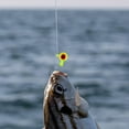 thumbnail image 4 of Eye Colorful Heads with Snag Barbed Hooks – Saltwater/Freshwater Fishing Durable Core, 4 of 5