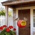 thumbnail image 4 of Hamster Chew Toy Set Apples-Shaped Resin Ornament,Outdoor Hanging Decoration and Bird Feeder for Small Animals Vibrantes Lifes, 4 of 7