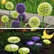 thumbnail image 5 of Paquete de 2 luces solares para jardín con diseños de flores de diente de león para decoración de patio, césped, jardín y patio, 5 of 5
