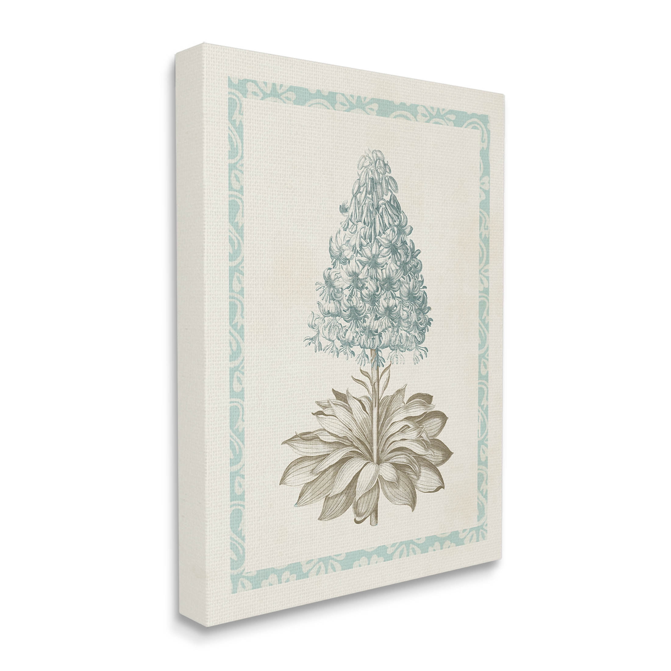 Stupell Industries Vintage Plant Nature Study Graphic Art Gallery Wrapped Canvas Print Wall Art, Design by Vision Studio