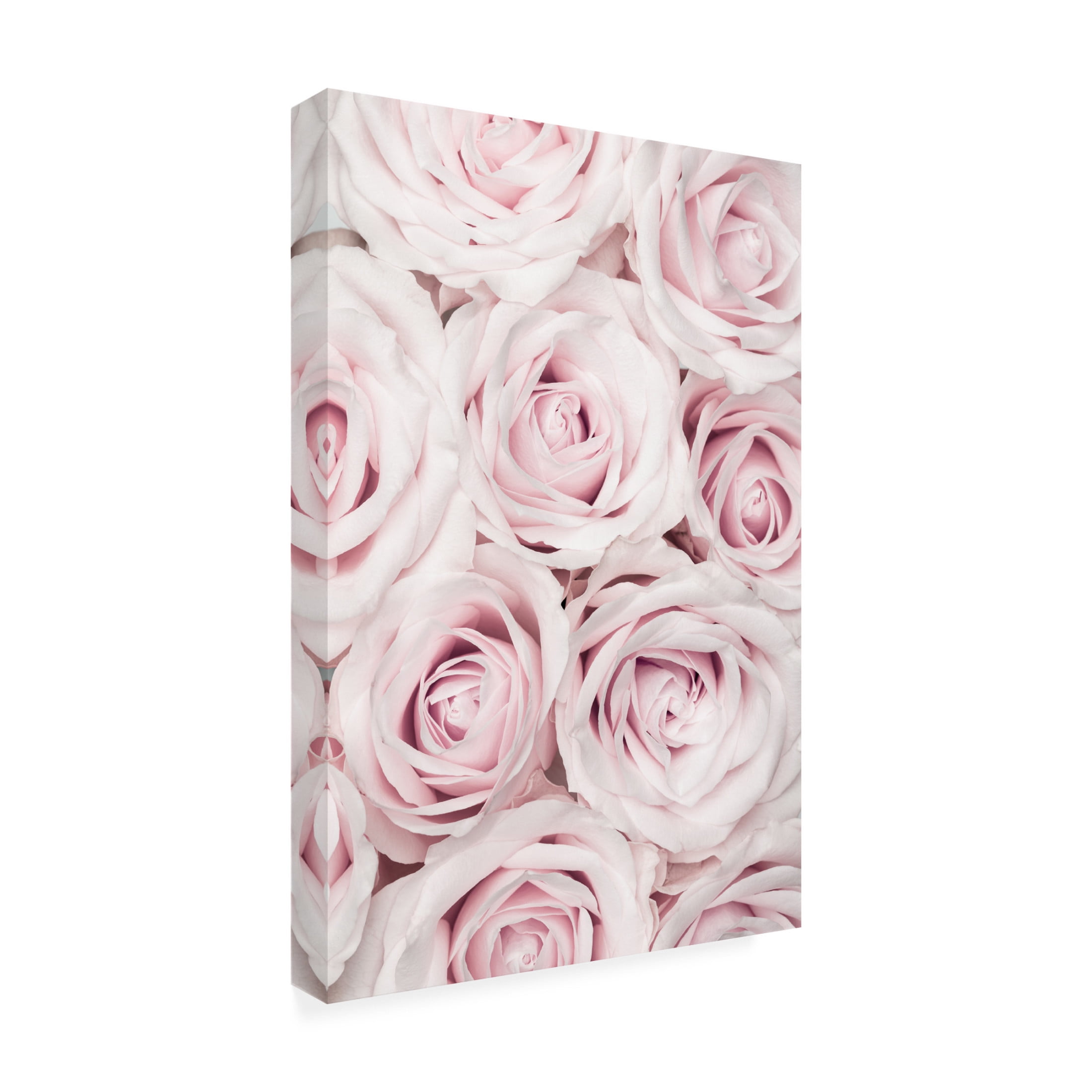 Trademark Fine Art Pictufy Studio Pink Roses No 03 Canvas Wall Art