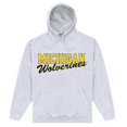 thumbnail image 1 of Michigan Wolverines  Adult Logo Hoodie, 1 of 2