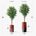 thumbnail image 4 of Artificial Tree in Modern Planter, Fake Ficus Silk Tree for Indoor and Outdoor Home Decoration - 75" Overall Tall (Plant Pot Plus Tree), 4 of 5