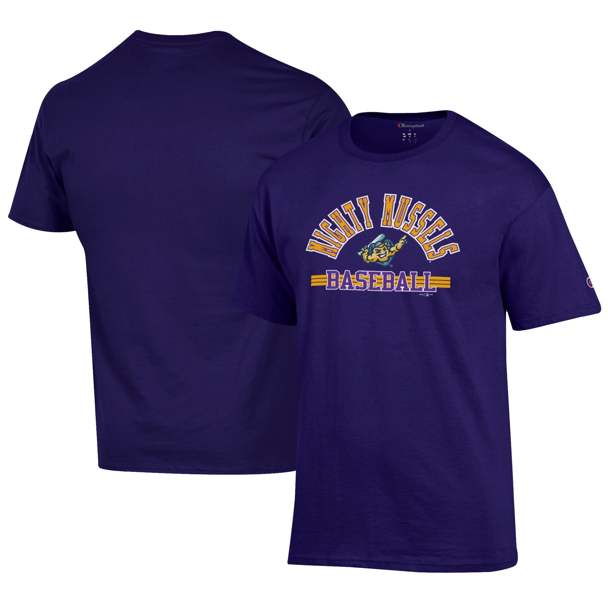 Men's Champion Black Norfolk Tides Jersey T-Shirt - Walmart.com