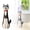 C, variant on Eqslft Cute Dog Shaped Resin Vase, Creative Animal Flower Vase, Tabletop Planter for Dried Flower, Modern Art Sculpture, Gift for Dog Lovers