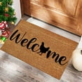 thumbnail image 3 of Entrance Doormat Door Mat with Heavy Duty Backing Doormat Rug Funny Cute Chicken Mat Decorate Door Mat Welcome Doormats Entrance Mats for Front Door Entry Floor Mats For Business 16x24IN, 3 of 3