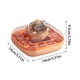 thumbnail image 3 of Bandeja de hielo con tapa, apta para alimentos, para refrigerador doméstico, diseño de 2 niveles, plástico sin BPA, bandeja plegable portátil, para oficina y cocina., 3 of 9
