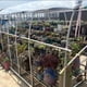 thumbnail image 4 of Malla de Sombra de Polietileno Transparente con Protección Solar | 90 % de Protección Uv con Ojales Reforzados | 200 X 300 Cm o 200 X 200 Cm para Pérgolas, Invernaderos, Patios y Jardines, 4 of 7