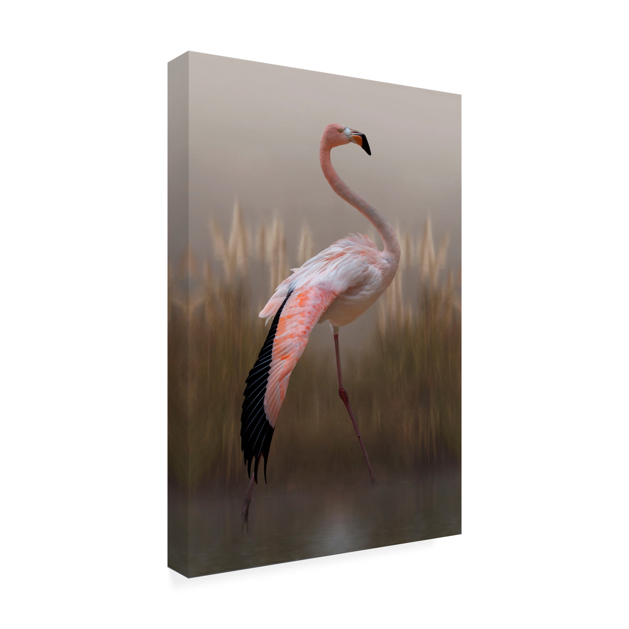 Canvas Wall Art - Krystina Wisniowska 'Grace' Wall Art for Living Room, Bedroom, or Office Décor by Trademark Fine Art - 30 x 47 Inches