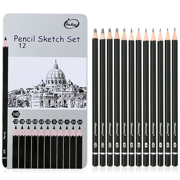 SAYEEC 12 Pcs Sketching Pencils Kit Professional Graphic Drawing Pencils Set Graphite Art Supplier for Artist Beginner Adult Kids 10B-3H (3H,2H,H,HB,B,2B,3B,4B,5B,6B,8B,10B)