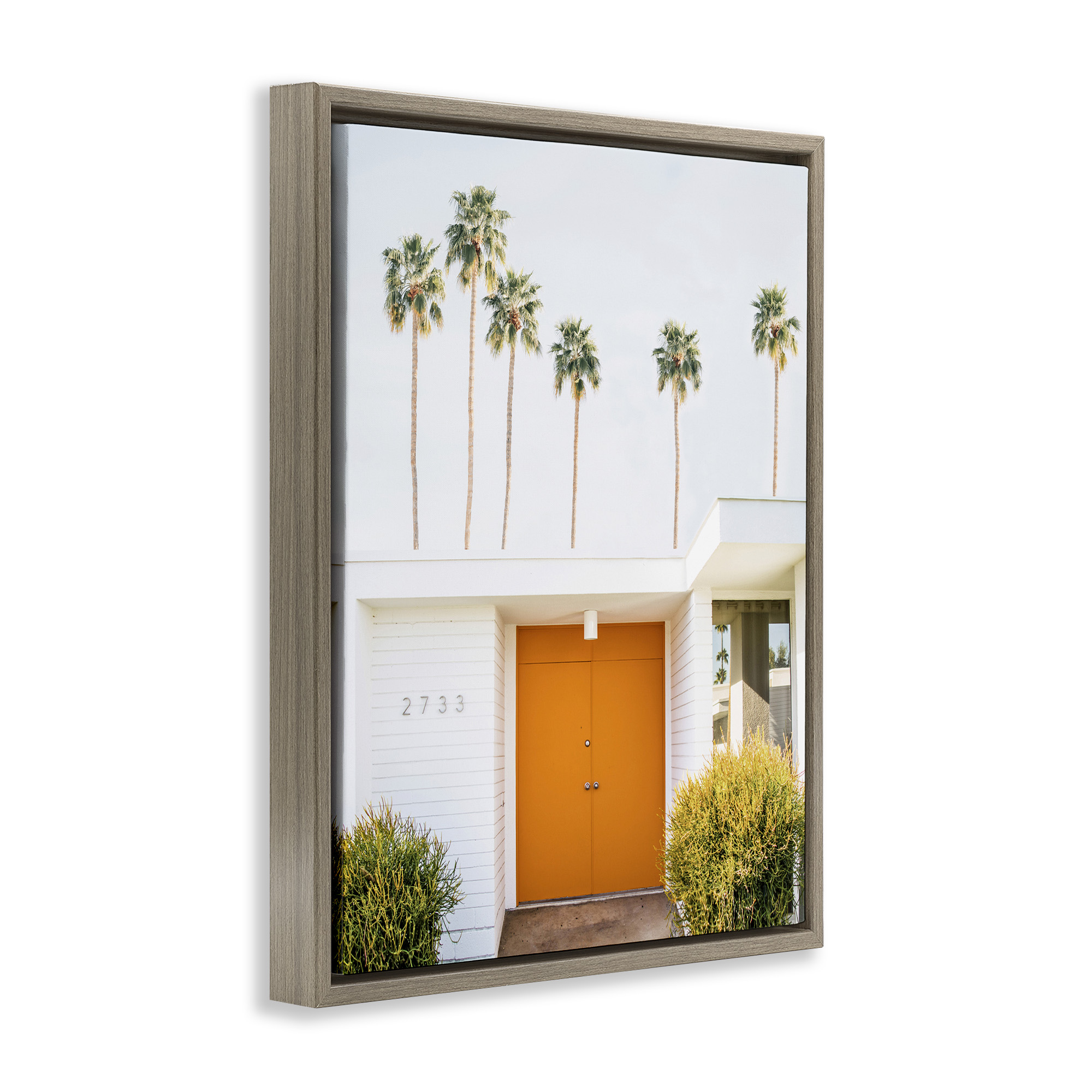 Stupell Industries Palm Springs Orange Door Botanical & Floral Photography Brown Floater Framed Canvas Art Print Wall Art, 25 x 31
