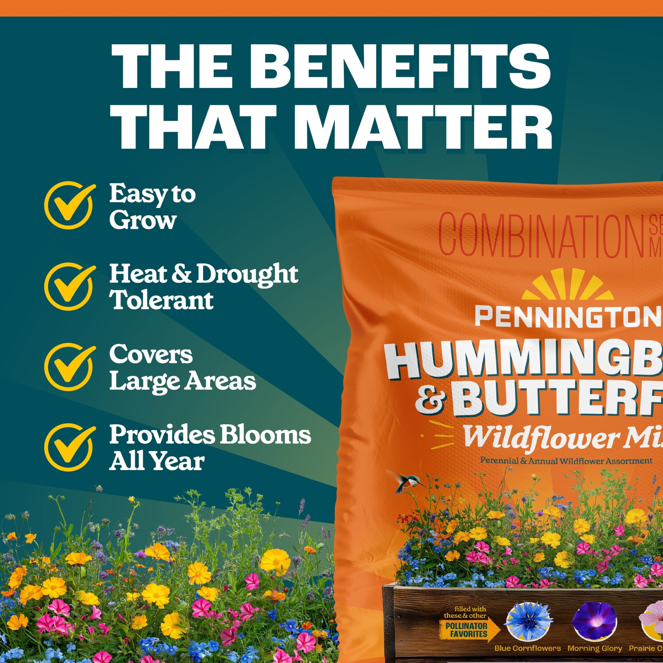 Pennington Wildflower Meadow Lawn Butterfly and Hummingbird Perennial Full Sun Seed Mix, Flower Plants & Seeds, 32 oz Bag