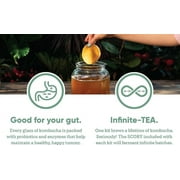 Craft A Brew Kombucha Starter Kit | 1 Gallon | Complete Home Brewing Kit with SCOBY Culture Claim Card