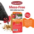 thumbnail image 6 of Hungrybird Red Pepper Suet Cake, 15oz – All-Natural Poultry Snack with Included Wire Platform Hanger for Backyard Chickens, 6 of 6