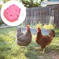 thumbnail image 2 of Chicken Saddle Hen Saddle Hens Saddle for Hen Apron Chicken Saddle Apron, 2 of 8