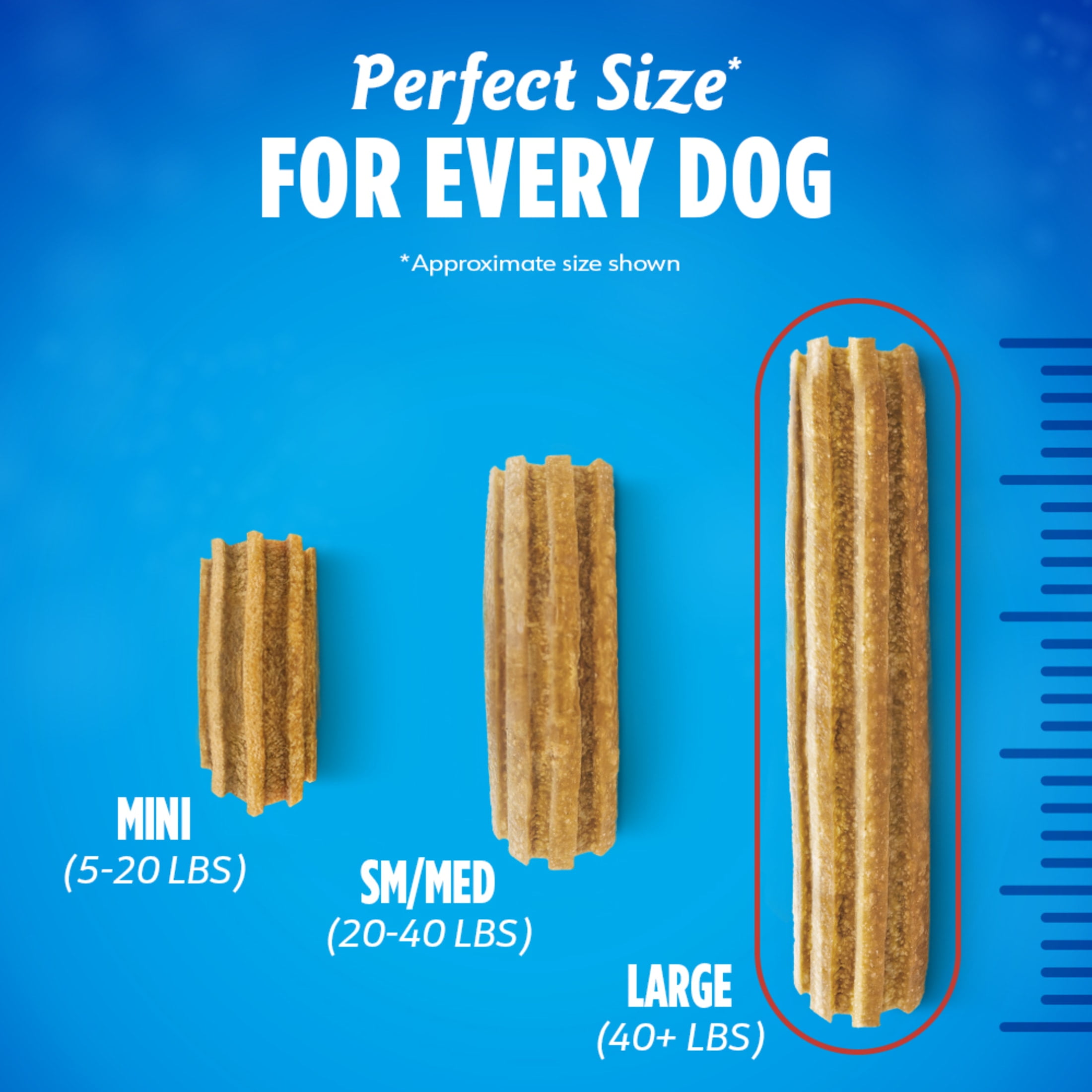 (4 pack) Purina DentaLife Daily Oral Care Large Dog Dental Treats with Chicken, 20.7 oz Pouch (18 Count)