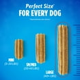 thumbnail image 4 of Purina DentaLife Daily Oral Care Large Dog Dental Treats with Chicken, 20.7 oz Pouch (18 Count), 4 of 13