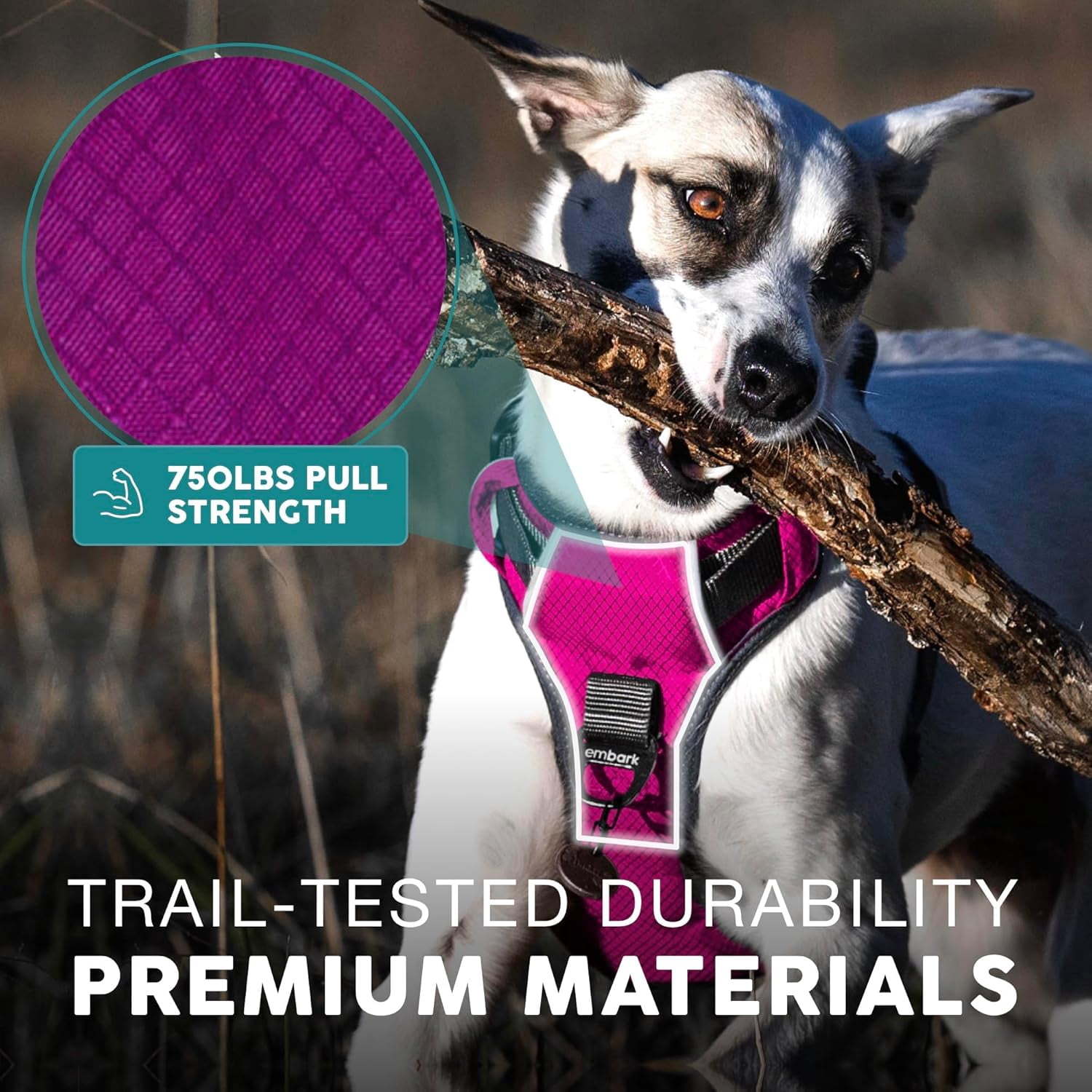 Embark Adventure Dog Harness, No-Pull Reflective Trim Dog Harness for Small, Medium & Large Dogs - Military Grade Nylon, 2 Leash Clips & Gel Lined Handle. Soft & Padded Puppy Dog Vest for Any Breed