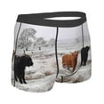 thumbnail image 3 of Balery Men'S Design Name Ultra Soft Performance Boxer Briefs-Size Name, 3 of 9