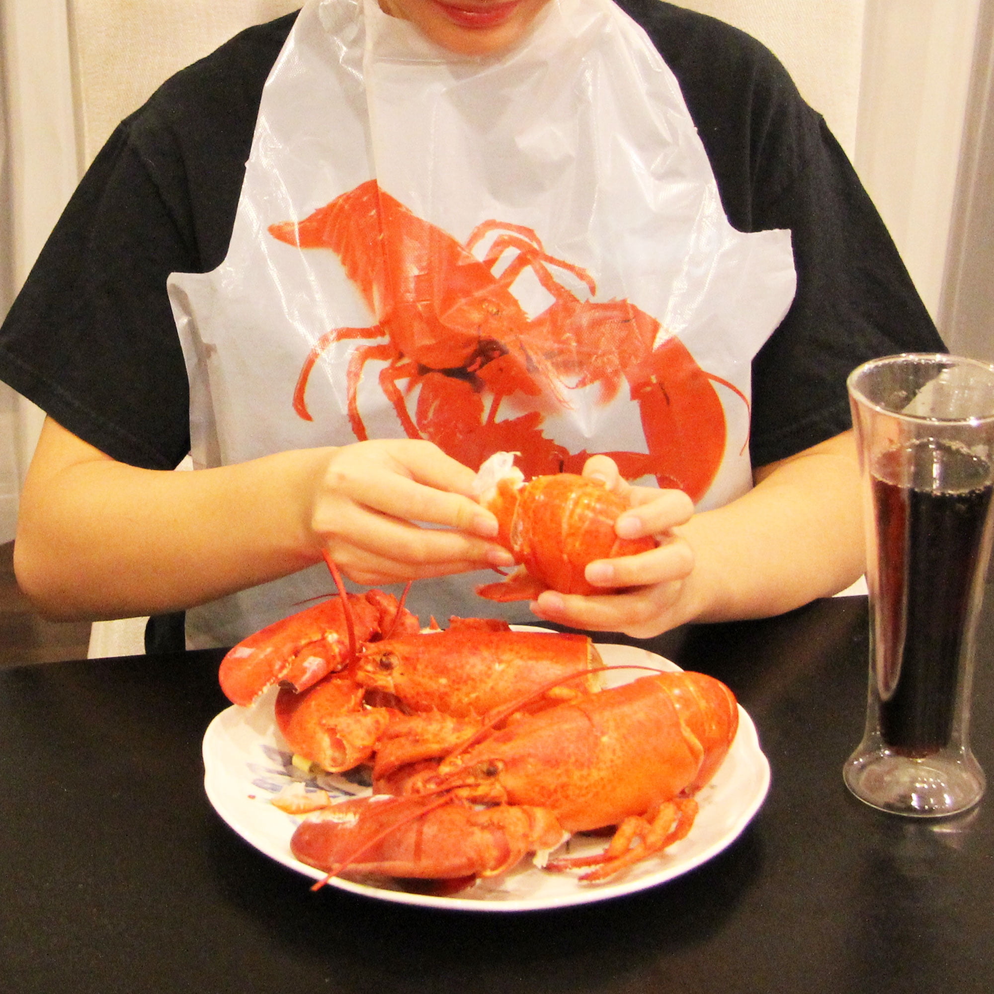 [500 Pack] Disposable 20 Inch Adult Poly Lobster Bibs to Protect Clothes, for Crab Feasts, Seafood Restaurants, Crawfish Parties and Special Events