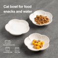 thumbnail image 5 of Cuencos de comida para gatos, platos de cerámica para gatos, plato para comida, agua y refrigerios, 4,72 pulgadas, uso interior y exterior, cuencos para gatitos, cachorros y animales pequeños, juego d, 5 of 5