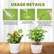 thumbnail image 3 of 4 piezas de globos de riego para plantas, inserto de púas para macetas de riego automático para plantas de interior y exterior, dispositivo de riego automático, 3 of 5