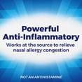 thumbnail image 5 of Nasacort Allergy 24hr Non-Drip Nasal Spray (120 Sprays, 3 pk.), 5 of 8