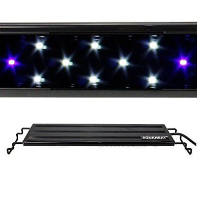 aquaneat aquarium light